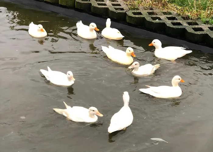 Lena בית נופש