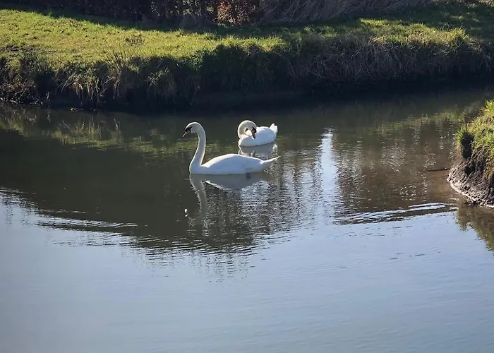 Lena בית נופש *
